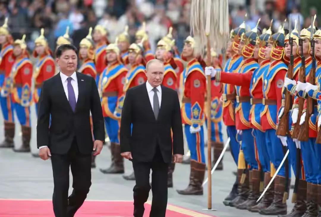 南非已经和国际刑事法院确定了一定的条约，对违法者将处于法律的行为，这时候普京已经