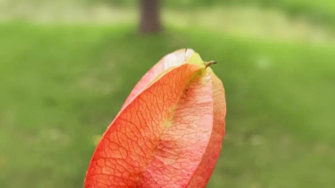 随笔：人生何须多奢望