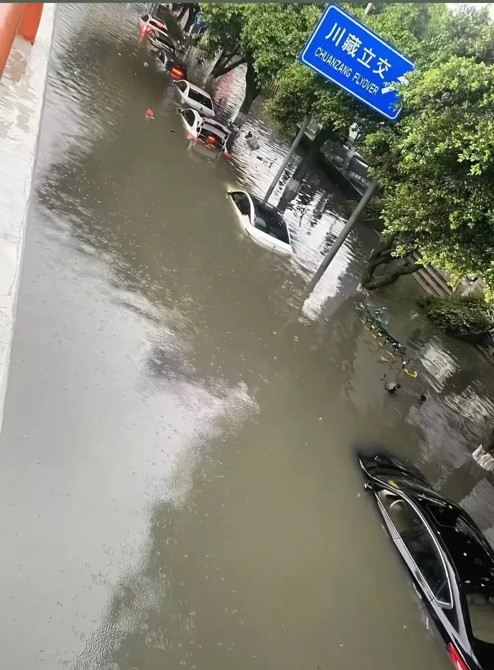 成都昨天一天暴雨之后，今天早上起来，很多车主的天塌了吧！