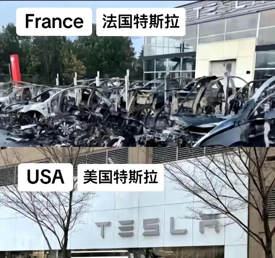三国对特斯拉的不同态度





特斯拉这遭遇，真是冰火两重天！美国像呵护宝宝一