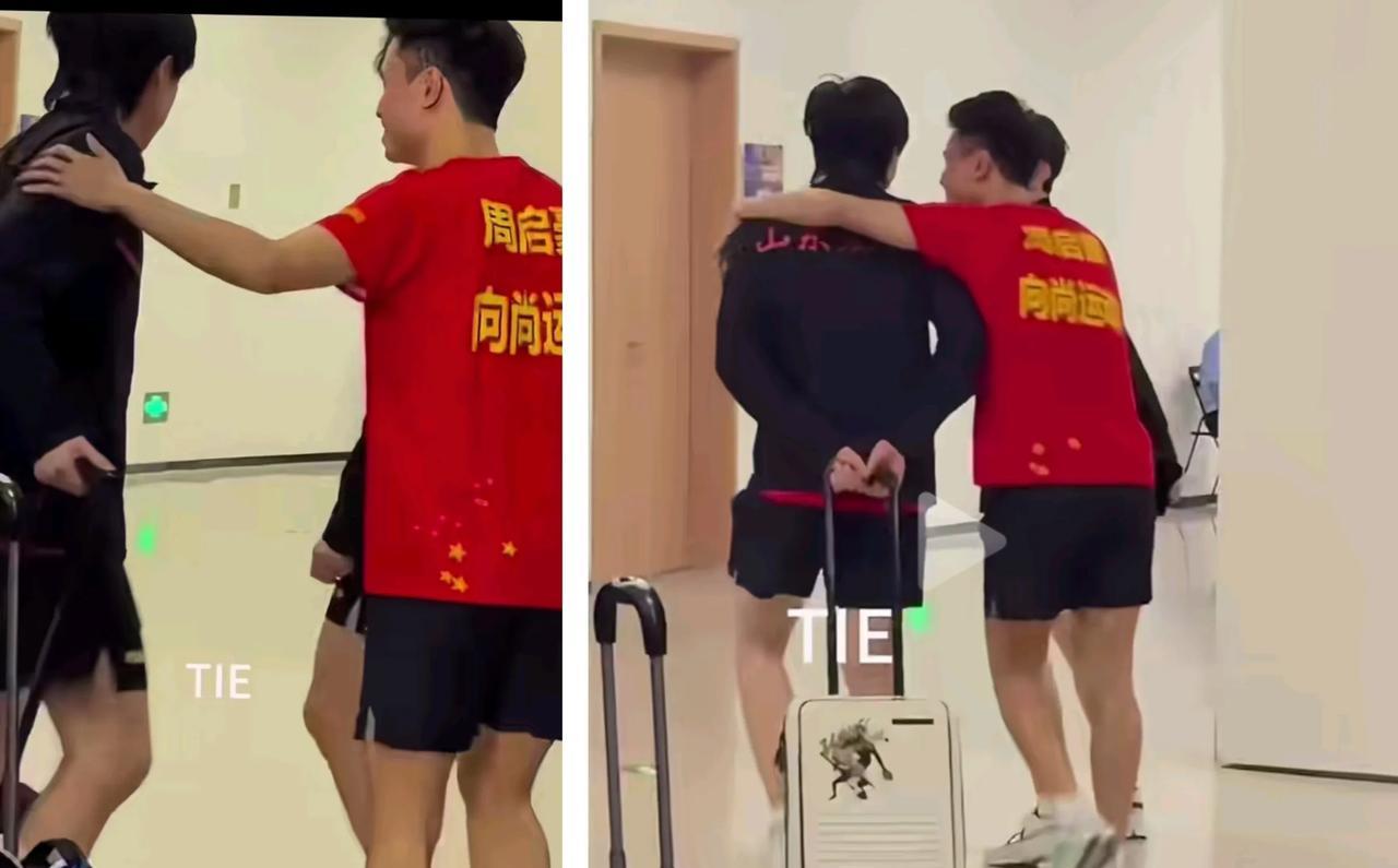 乒超联赛没输过的大头没经验，在那乖乖等采访不知道输了不用采访[笑哭][呲牙]！被
