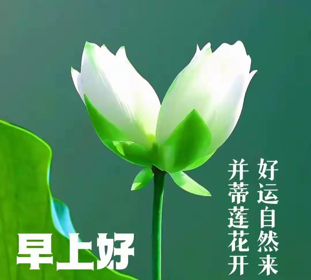 #人到中年，除了钱什么最重要了#健康的身体，这是享受生活的基础。其次和谐的家庭环