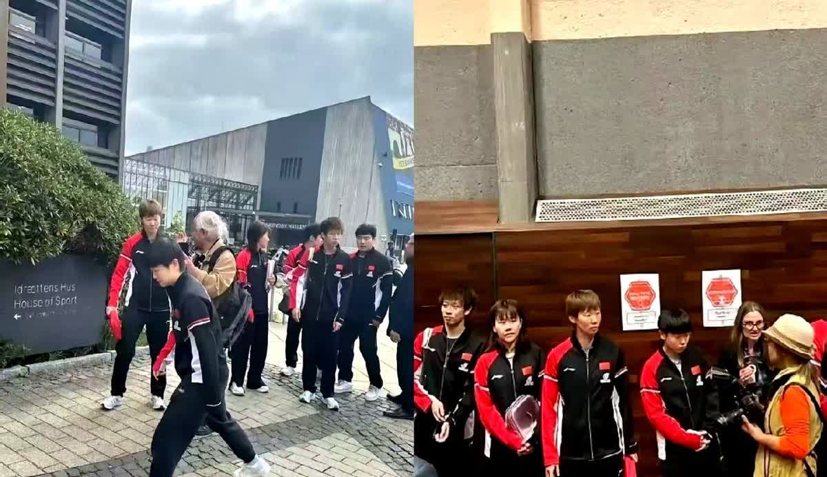 国乒全队罕见延迟回国，背后藏着一条被忽视的国际暗线

凌晨四点没在机场蹲到人