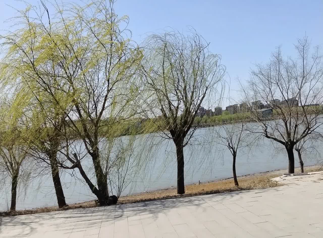 自从过了六十岁以后，我心态变了。

儿女挣多挣少，和我没有关系了。我不再问工