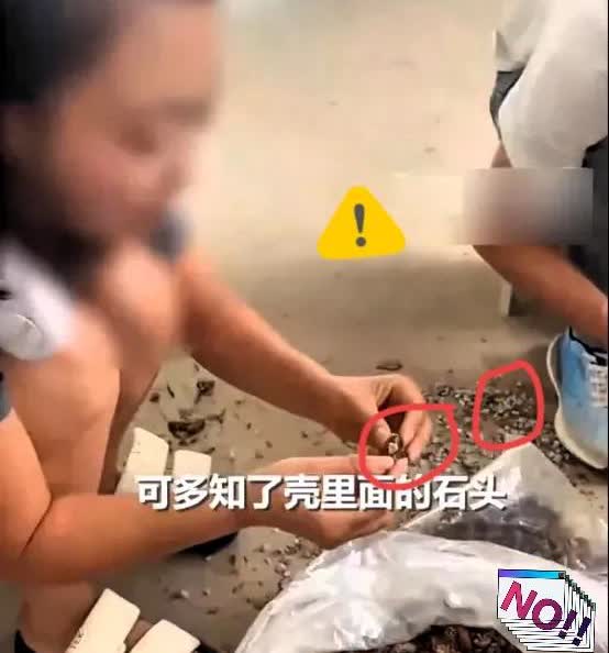 坏了良心！

近日，陕西铜川，一女子收购知了壳，看卖家是个老人，就将原本32