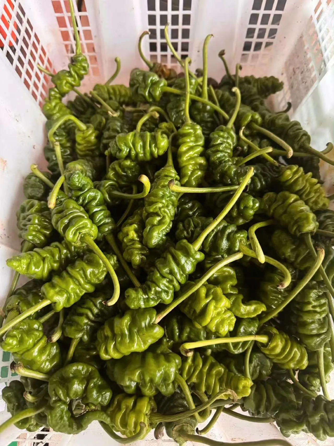 这是哪个城市的经典美食？叫啥呀，看着就流口水
