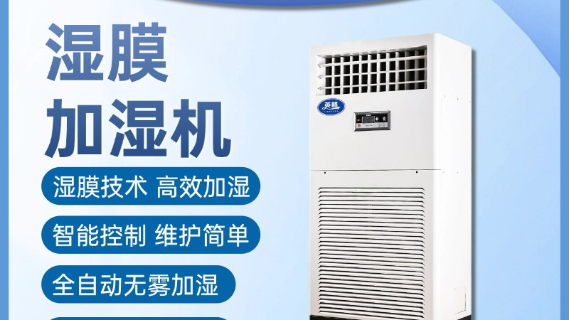 无声守护，润物无声｜为舒适环境注入自然活力