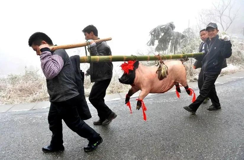 一个前总统做到如此，大韩民国这个国家真的是发达国家吗？
尹锡悦方面强烈抗议特检组