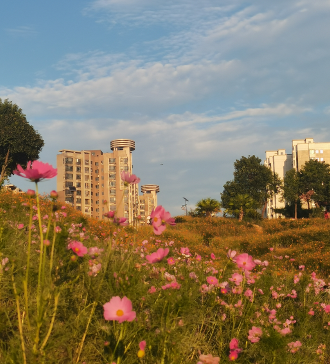 当你用认真有趣的态度，对待生活里那些看似无趣的小事时，就会收获一份份小小而确定的
