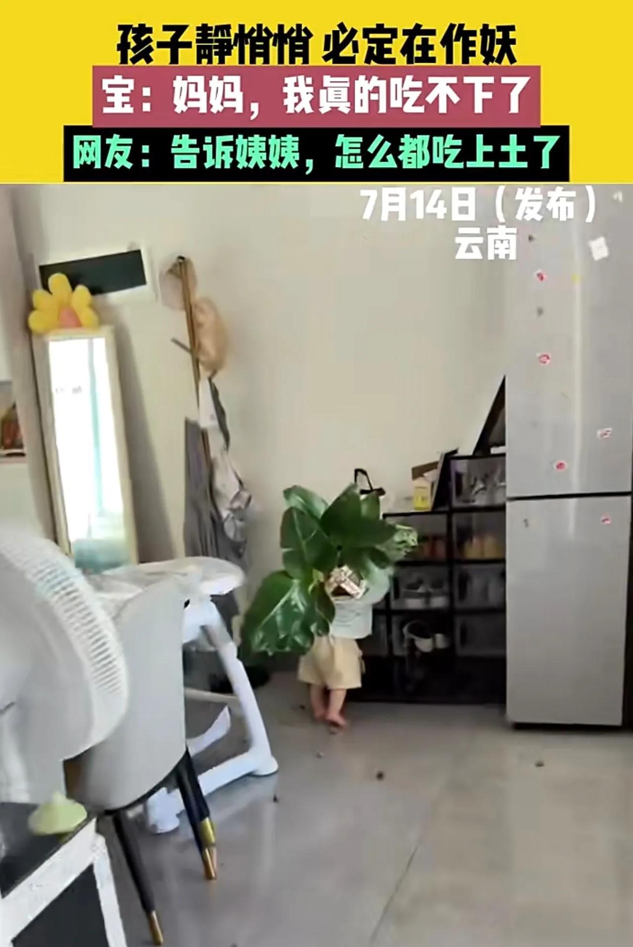 7月14日（发布），云南，来源@抱在怀里。孩子静悄悄，必定在作妖，宝：妈妈，我真
