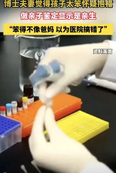亲子鉴定惊现反转！两位博士父母，因孩子太“笨”，竟怀疑医院抱错，悄悄做了亲子鉴定