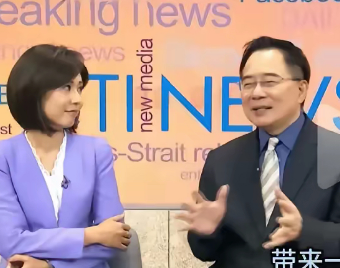 台湾名嘴蔡正元曾直言，九成台湾民众反对统一。
随后，苑举正教授来大陆演讲，讲述国