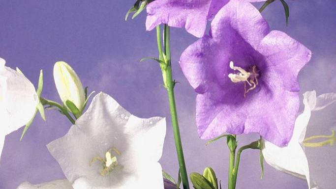 老人一句话，家族群里炸了！