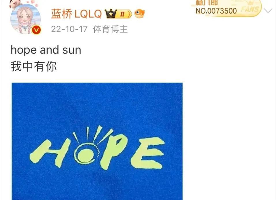 22年李宁出运动衫时HOPE的设计就有太阳，现在钦阳的商标HOPE中间变成“日”