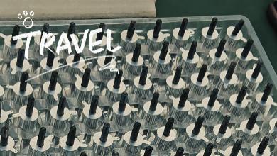 未来已来：轻量化、智能化引领超声波切割工具新趋势