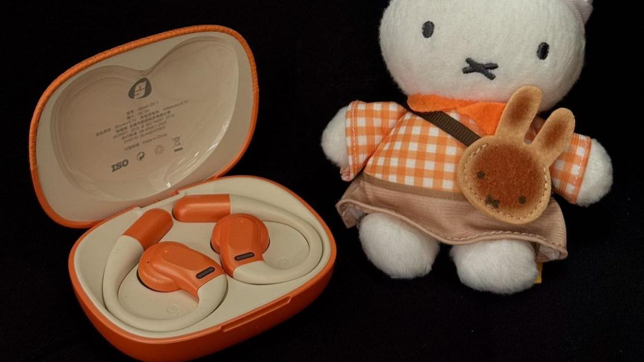 口碑好的耳挂开放式耳机有哪些？2025年口碑最好的开放式耳机推荐指南