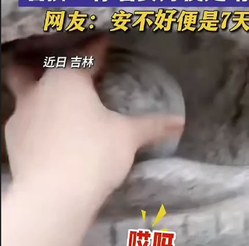 “长见识了”女子看到一座石狮子瞬间被吸引，特别是对狮子嘴里的球感兴趣，她想石球既