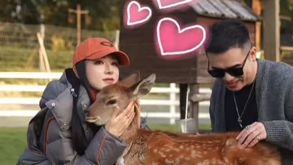 在对待小动物这件事上面, 薇娅简直要把毕生柔情全都贡献出来！