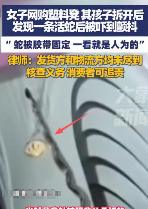 “太缺德了！”10月23日，云南昆明，一女子网购了个塑料凳，孩子们拆快递时竟然发