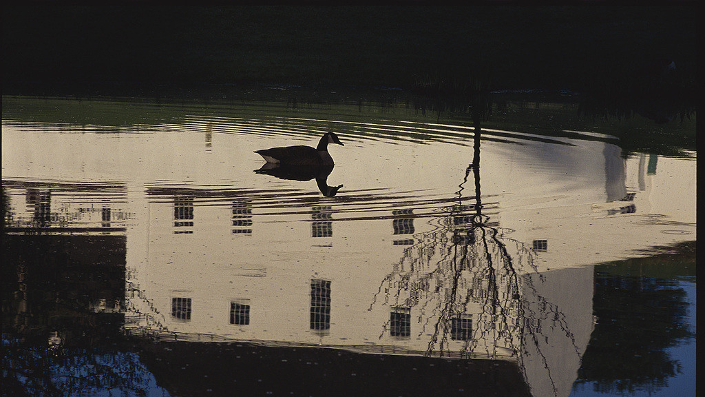 江西彭泽多名儿童殒命池塘：一场单方事故背后，那些不能回避的安全之痛