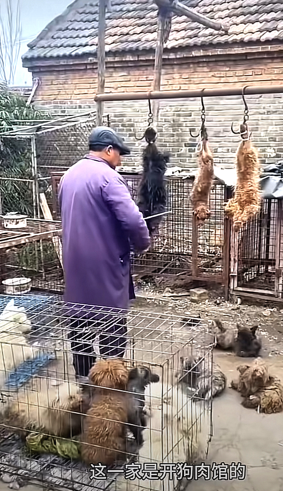 你这可积多大的福报啊，这下可还多少愿啊