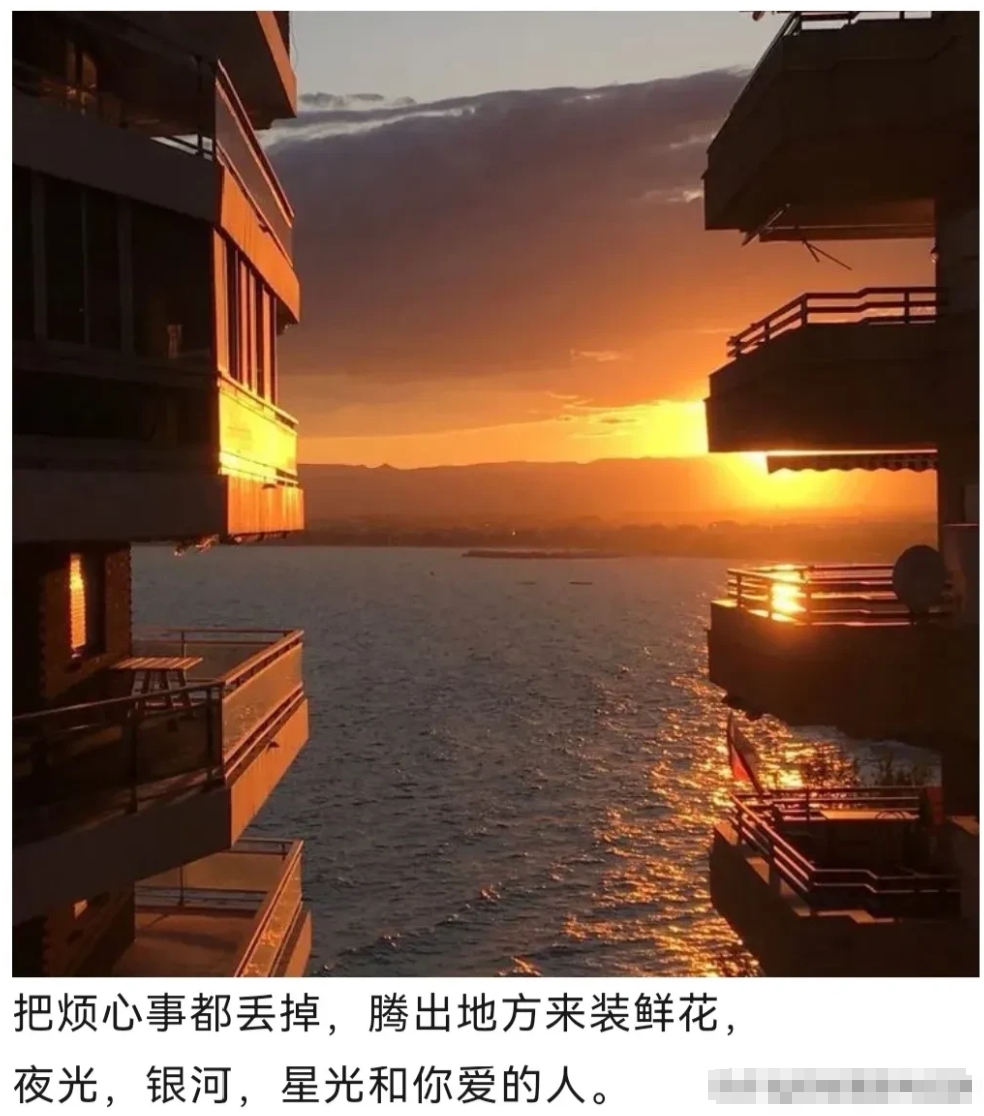 

沪上某户知识分子家庭正经历着煎熬时刻。退休前担任国企要职的周教授夫妇，此刻在