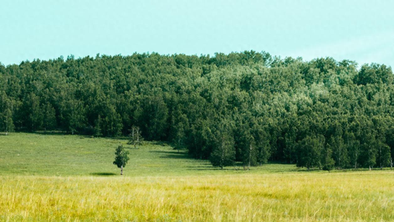 GRS认证蜂窝纸快递袋防水防油防尘电子产品保护包装可印刷可降解