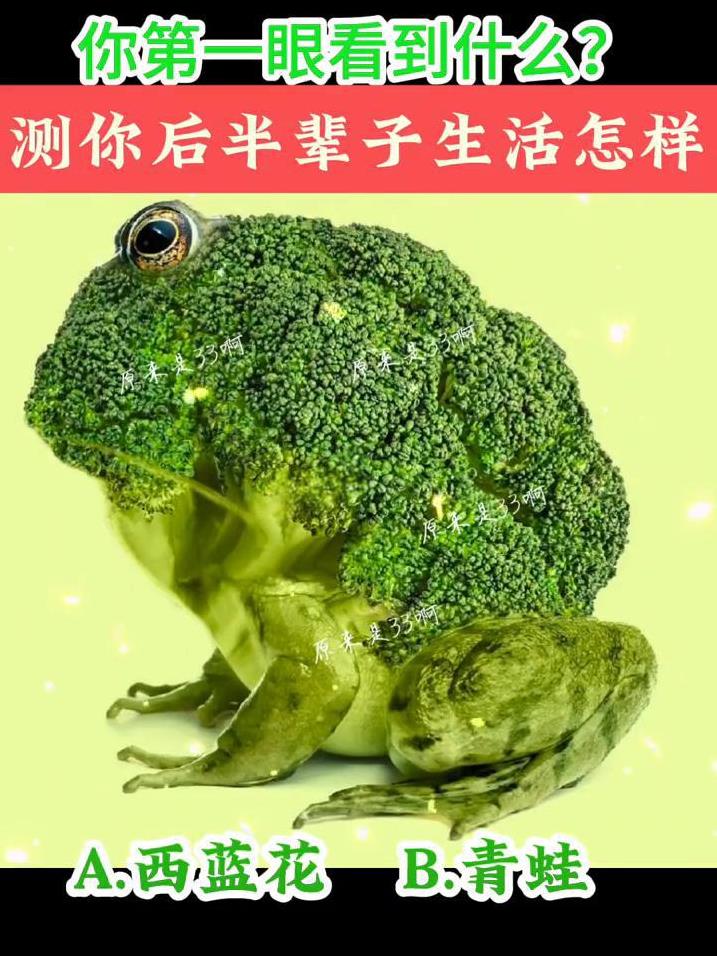 你第一眼看到什么？测你后半辈子生活怎样。
A.西蓝花；B.青蛙。