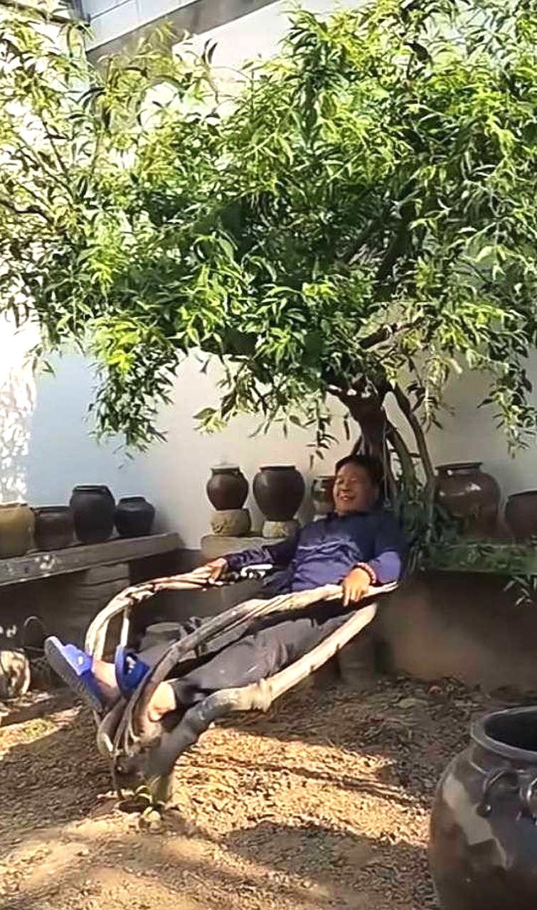 大爷：这树多少钱都不卖！