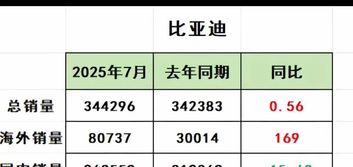 俗话说得好，皇帝轮流做，明年到我家，比亚迪享受了4年红利期，增速放缓，同比出现下