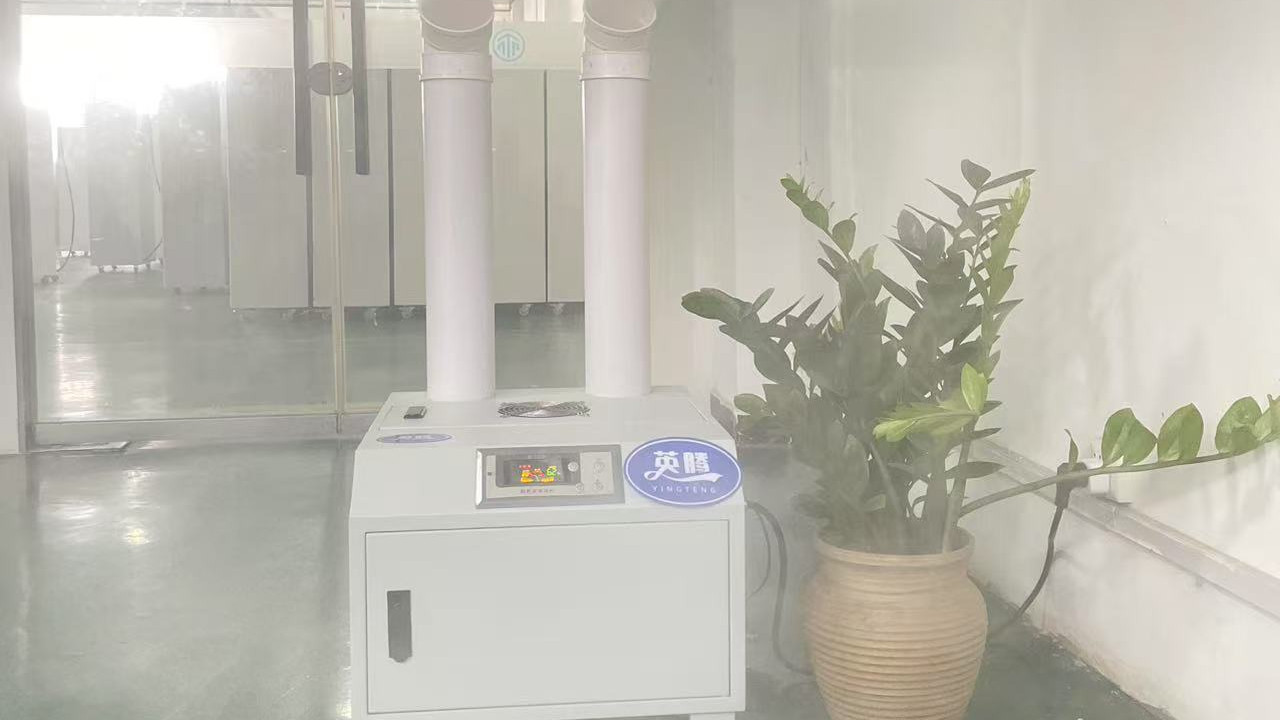 玫瑰与雾的量子纠缠