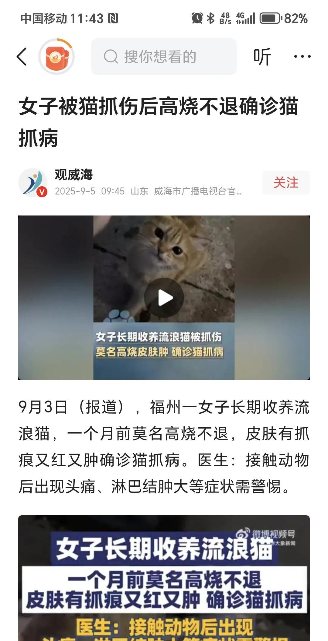 福州一个女子长期收养流浪猫，高烧不退被确诊为猫抓病。
投喂流浪猫不可取，不仅给居