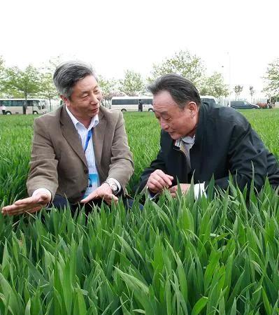 2012年4月12日至17日，吴邦国在河南调研。这是4月14日，在位于新乡市的河