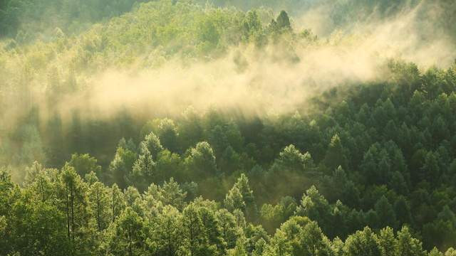 无塑纯纸超薄环保白牛皮纸袋可定制印刷LOGO欧盟合规格ROHS 认证