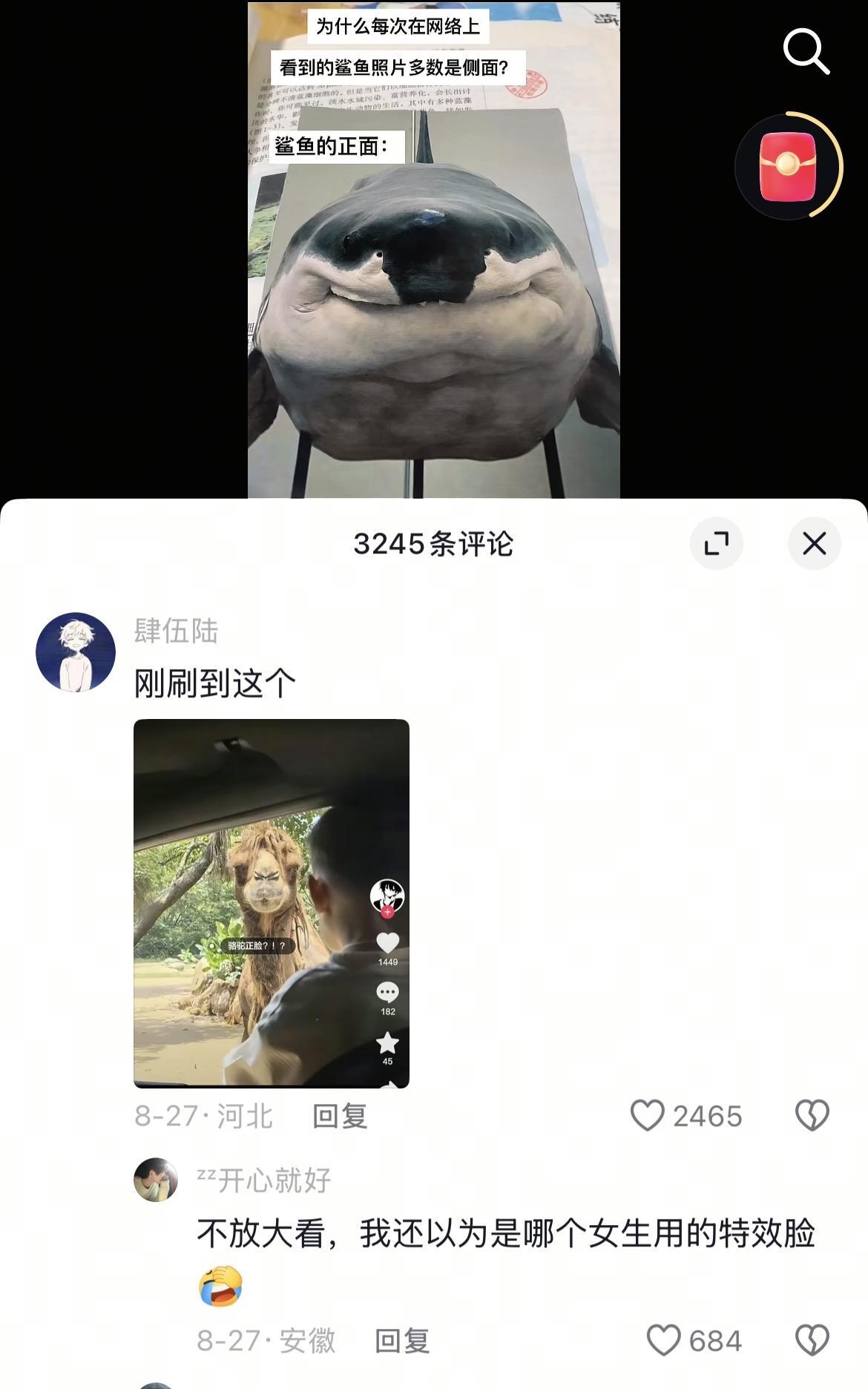 因为正脸实在是惨不忍睹。