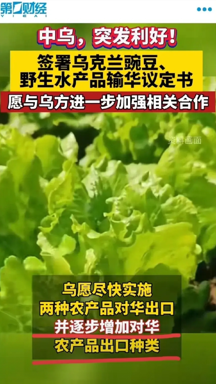 中乌签署粮食水产进口协议！签字的那一刻乌克兰人心里五味杂陈！到底谁才真能帮助乌克