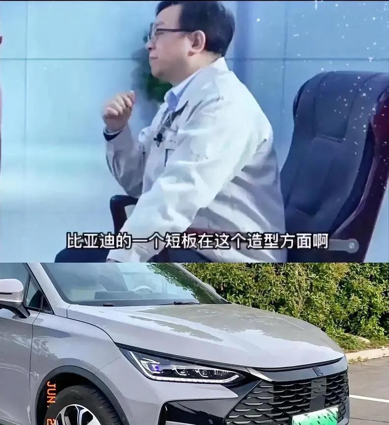 比亚迪王总也承认了，我们犯了一个非常严重的错误。[捂脸]导致比亚迪错过了很多爆火