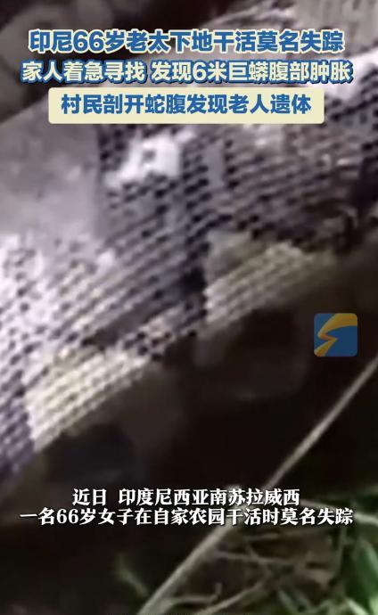 “悲剧还是发生了！”2025年4月，印尼一66岁老太在农园干活时莫名失踪，家里人