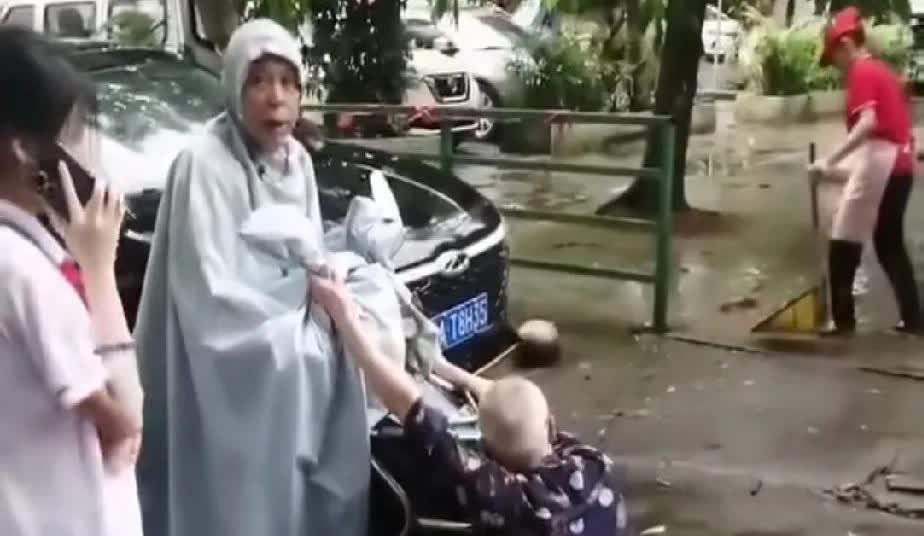 你看看吧！现在这牛鬼蛇神都陆陆续续粉墨登场了！
什么碰瓷的、拦婚车的、跳广场舞