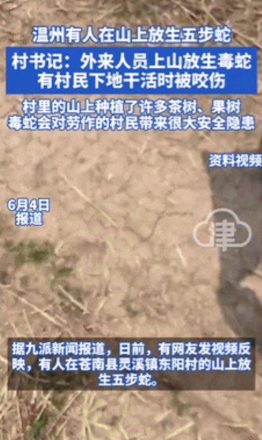 “枪毙他都是轻的！”温州，外来人员在山上“放生”五步蛇，有村民险些被毒死！村干部
