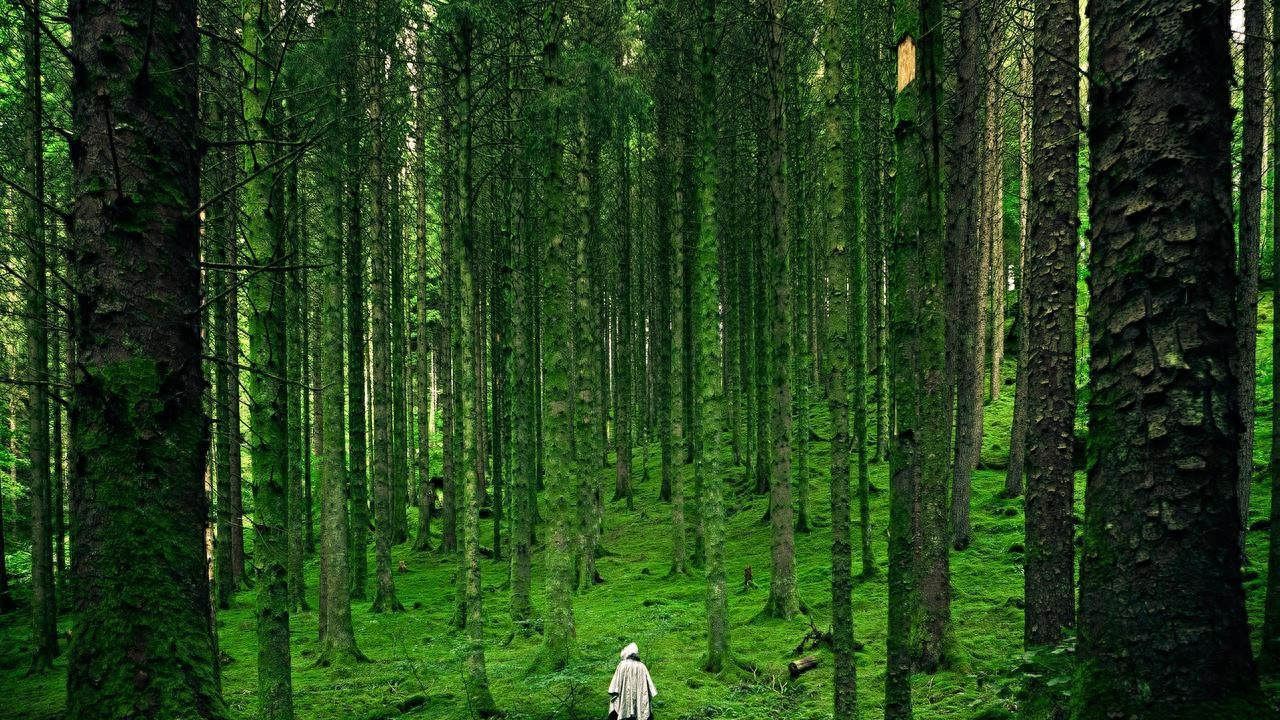 耐高温丝印烤盘多规格PPS手机盖板玻璃光学镜片烤拉专用