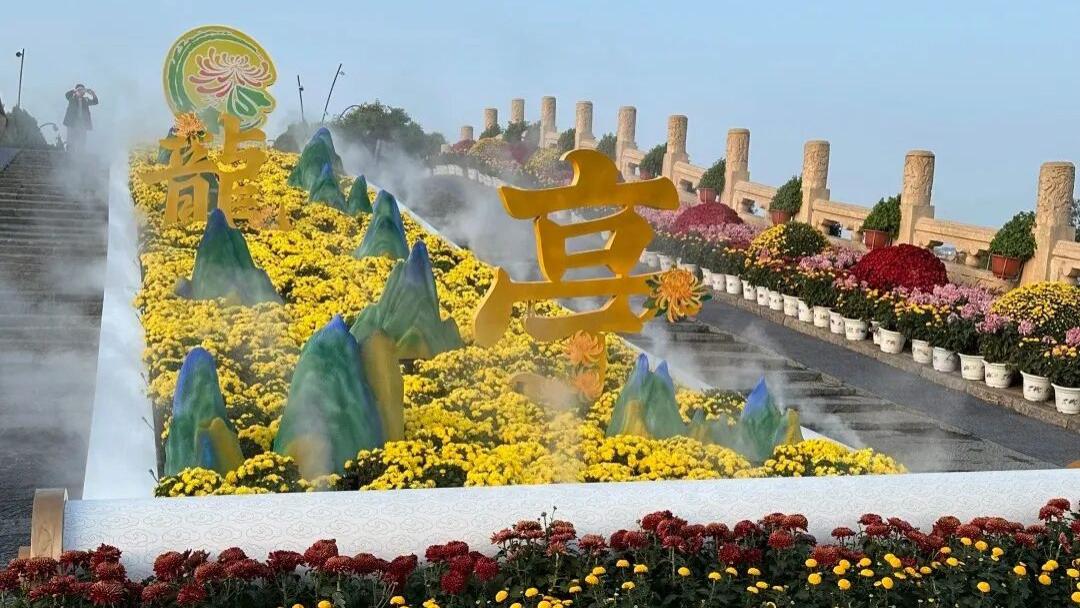 【开封龙亭景区】菊展全攻略：穿越宋韵菊海，避坑指南+网红打卡点实测