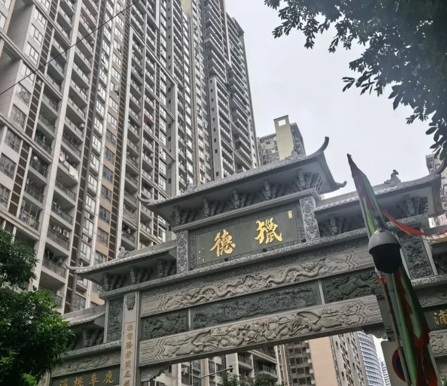 猎德村的黑女婿不背锅
年年端午划龙舟比赛
猎德村最有钱
却是人丁凋落
现在的年轻