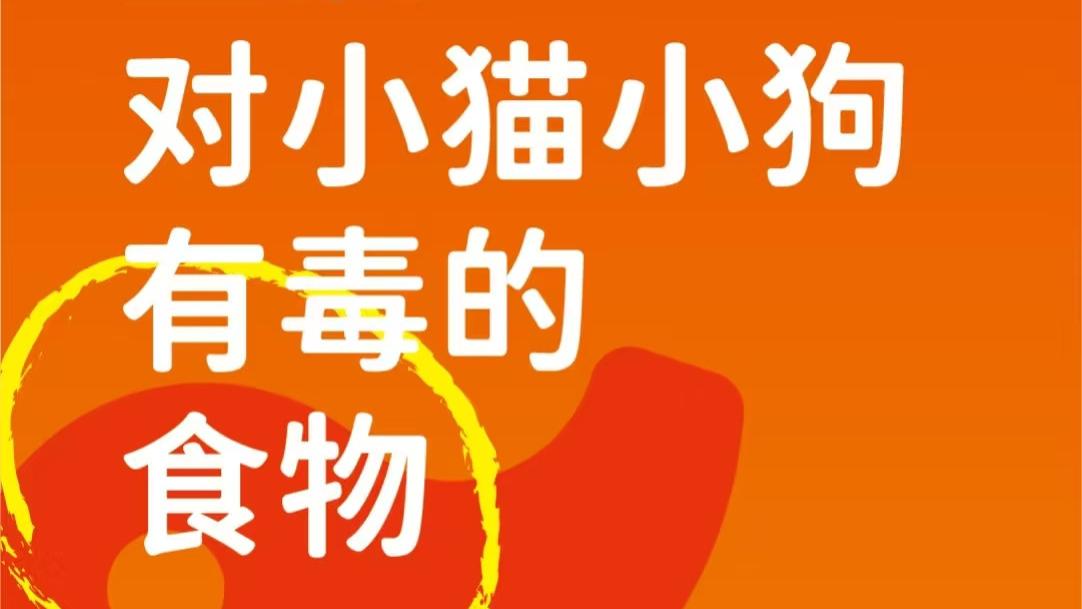 象乡宠物食品 |  盘点对小猫小狗有毒的食物