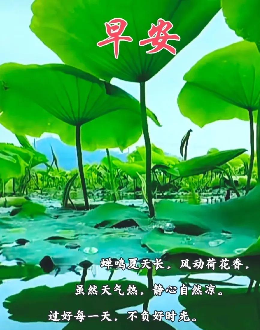 [玫瑰]早上好[玫瑰]
蝉鸣夏天长，风动荷花香，
虽然天气热，静心自然凉
过好每