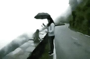 猴能御伞飞行？