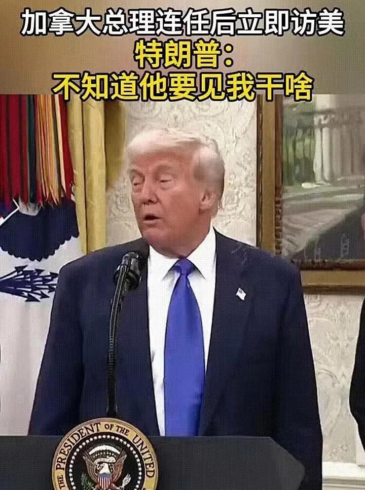 怼王特朗普！
俄罗斯庆祝二战胜利，邀请特朗普，特朗普不去；
龙国庆祝二战胜利，没