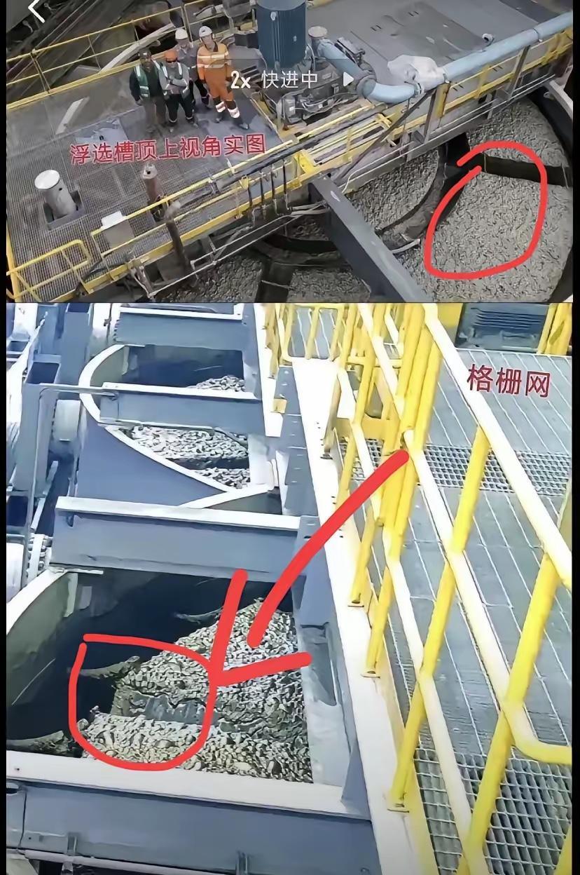 六名大学生“溺亡”…
开始信以为真了，直到了解到真相
我一个外人都彻底不能接受这