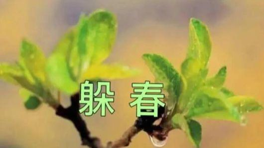 2026年躲春攻略：4大生肖注意！时间、场所、禁忌一次说清