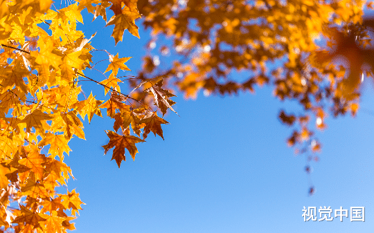离婚当天我才知道怀孕了，  老公陪女秘产检，他们的噩梦开始了